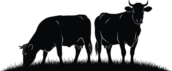 Black and white minimalist cow silhouettes grazing in a grassy field, modern graphic farm animal illustration, clean vector farm landscape, © Samina