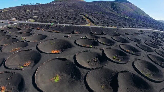 Aerial pass shows La Geria vineyards on Lanzarote near Timanfaya, circular pits in black volcanic ash with stone windbreaks, lone vines, bright daytime light.