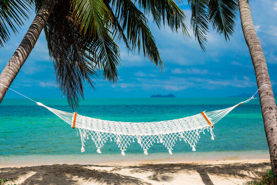 A white wicker hammock strung between palm trees against the backdrop of the sea on the coast of a tropical island