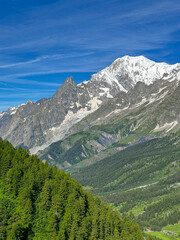 Obraz premium mountain landscape with trees at Val Ferret, Italy 