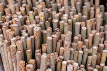 Natural Dry Bamboo Poles Texture Background