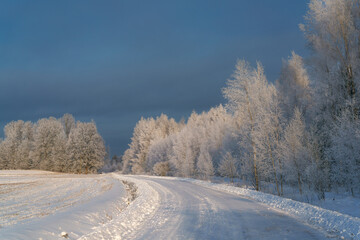 snow covered road © talavietis