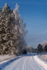 road in winter © talavietis
