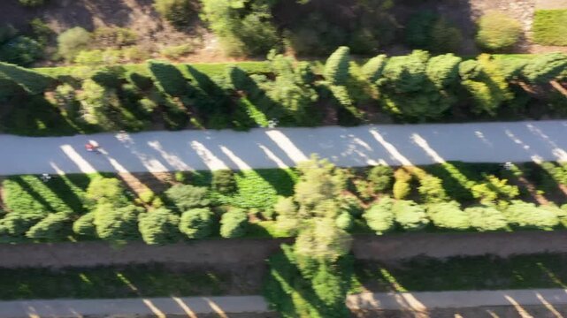 Aerial view of the Baha'i Sacred Gardens