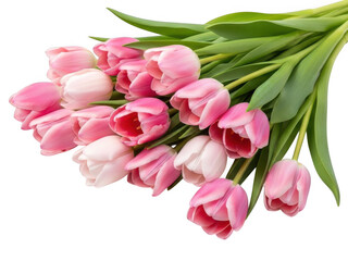 Fototapeta premium Delicate pink tulips bouquet isolated on transparent background