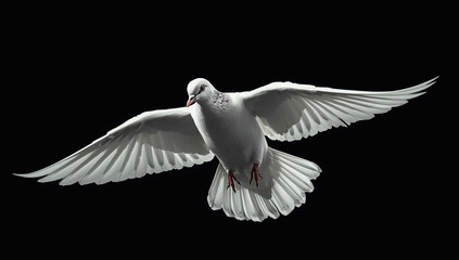 Obraz premium White dove captured in mid-flight with wings spread against a solid black background, symbolizing peace, freedom, hope, and spirituality