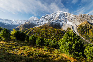 Königspitze, Ortler, Suldental, Sulden, Nationalpark Stilfser Joch, Trentino - Alto Adige, Italien