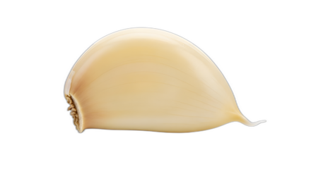 Single peeled, creamy white garlic clove showing texture and shape in a macro view on transparent background