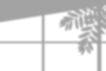 Natural light shadow overlay effect from window and blurred plant leaf. Realistic leaf shadow for decorating, design. backdrop, mockup form leaves window sunlight effect. Summer design elements. PNG