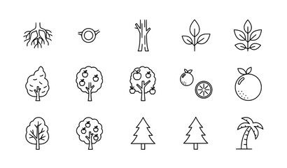Obraz premium Trees line icon set with roots branches leaves fruit and forest pictograms in thin linear vector style