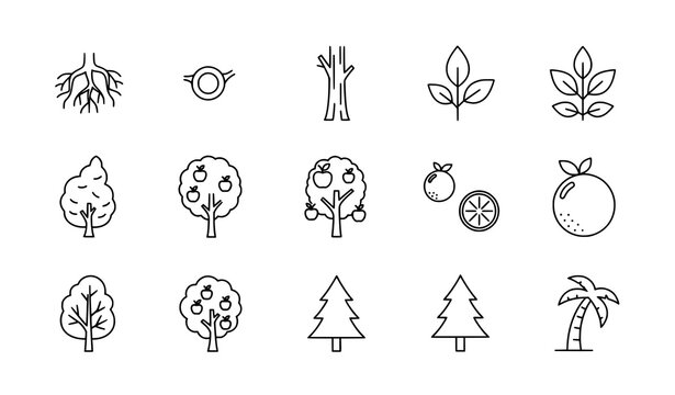 Trees line icon set with roots branches leaves fruit and forest pictograms in thin linear vector style