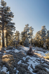 Rauhreif Aufumen Hohe Wand Bezirk