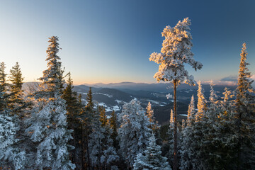 Rauhreif Aufumen Hohe Wand Bezirk