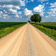 Obraz premium A gravel road stretches towards the horizon under a vast, cloud-filled blue sky, flanked by verdant fields and solitary trees