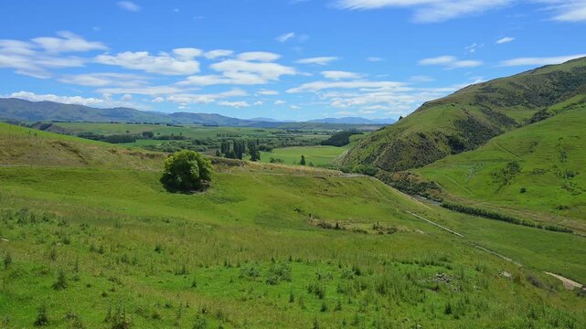 Gr&uuml;ne H&uuml;gel unter blauem Himmel mit vereinzelten Wolken, l&auml;ndliche und friedliche Atmosph&auml;re, Canterbury, S&uuml;dinsel, Neuseeland, Ozeanien