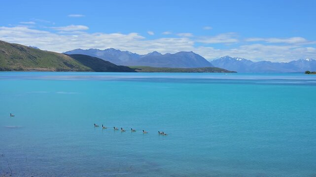 See mit  Blick auf die umliegenden Berge leicht bedecktem Himmel, Lake Tekapo, Tekapo, Canterbury, S&uuml;dinsel, Neuseeland, Ozeanien