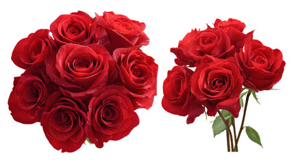 Obraz premium A bouquet of red roses is shown in two different views