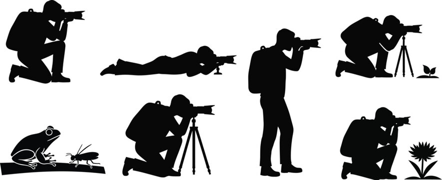 Wildlife puotographer taking pictures of animals and insects in the wild. Macro photography or nature photography, showing individuals focusing on frogs, bird, plants, insect, animals. 