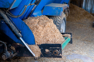 Blue Feed Mixer Unloading Fresh Straw Bedding on Turkish Farm