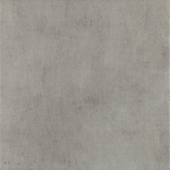 Obraz premium Light Gray Ceramic Tile with Subtle Slate Stone Texture