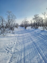 Obraz premium Winter Landscapes & Northern Lights