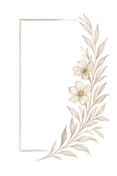 Delicate floral frame isolated on transparent background