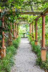 Romantic garden walkway forming a green tunnel, springtime, nobody