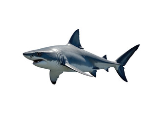 Obraz premium A large white shark in flight against a clear blue sky