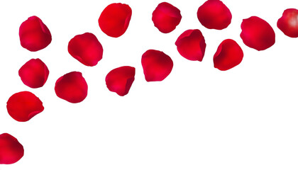 A romantic arrangement of red rose petals scattered on a transparent background