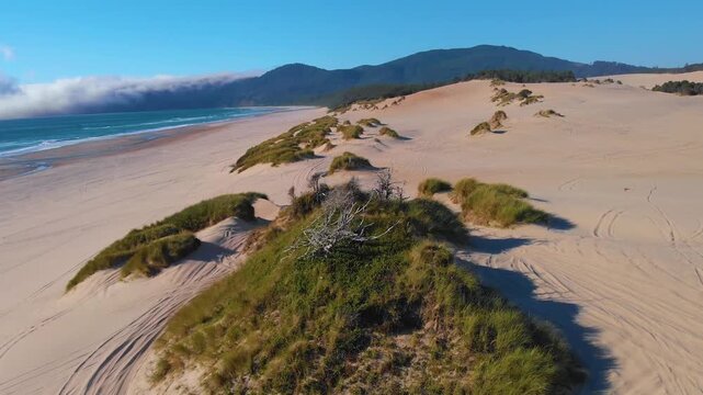 An aerial shot captures the expansive, undeveloped landscape of Sand Lake on the Oregon Coast. The footage features immense coastal sand dunes, green beach grass, tire tracks from off-road vehicles, a