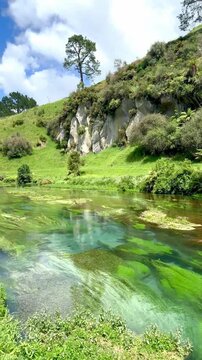 The Blue Spring reveals crystal‑clear turquoise waters along the Te Waihou Walkway near Putaruru in New Zealand&rsquo;s Waikato region.