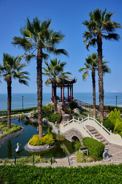 romantic escape at the Parque Chino in Miraflores. This peaceful summer sanctuary on the Malec&oacute;n features a traditional red gazebo and an elegant bridge set amidst swaying palm trees and calm koi pond