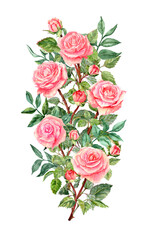 Fototapeta premium Five rose flowers in the vertical Bouquet with foliage
