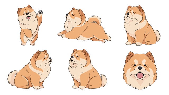 Set of adorable chow chow dog illustrations featuring different sitting and playing poses in a clean vector art style.