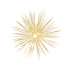 Fototapeta premium Golden feather with intricate details and radiating lines isolated on a transparent background