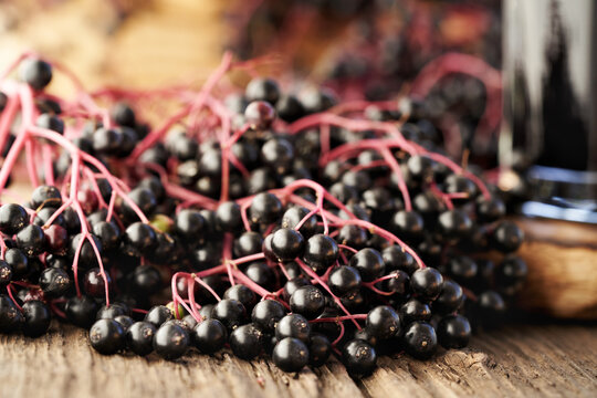 Closeup of fresh black elderberries on a table