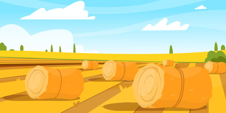 Rural landscape. Countryside fields with hay bales. Dry wheat grass. Village panorama. Bundles of straw. Farming haylofts. Forage harvesting. Agriculture haystacks. Vector background