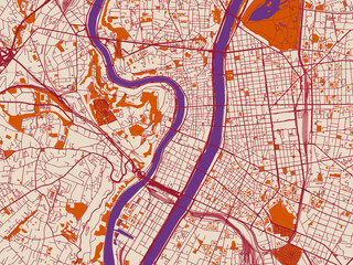 Obraz premium Street network map of Lyon, France, warm boho color palette