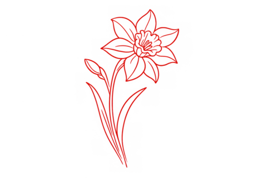Daffodil line art drawing with red outline, spring flower sketch, botany graphic design element on transparent background - Powered by Adobe