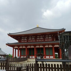 Naklejka premium Nara Travel, Japan Trip