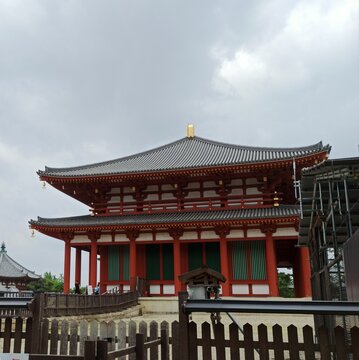 Nara Travel, Japan Trip