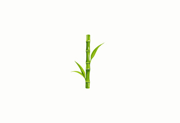 Vibrant Green Bamboo Shoot with Leaves on Minimalistic White Background, Symbolizing Nature and Simplicity in Botanical Art