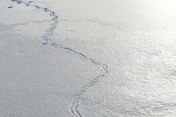 Footsteps in the snow at one frozen lake called M&auml;laren. Sunny and cold winter day. J&auml;rf&auml;lla, Stockholm, Sweden.