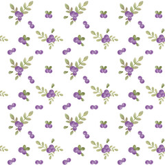 Blueberries seamless pattern png on transparen background