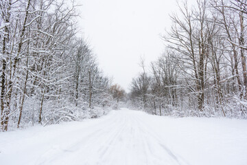 Obraz premium Snow Covered Winter Road Through a Snowy Forest Woods During a Snowstorm, Dangerous Slippery Winter Driving Road Conditions