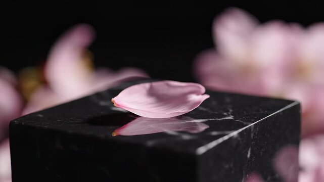 Petal on Marble: A delicate pink petal delicately rests upon a sleek, black marble surface. A visual ode to simplicity and the beauty found in natural elements, set against a dark backdrop.
