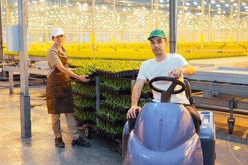Two workers in a large, modern greenhouse. A man on an electric vehicle a woman with trays of green seedlings. Bright yellow light from grow lamps illuminates the scene