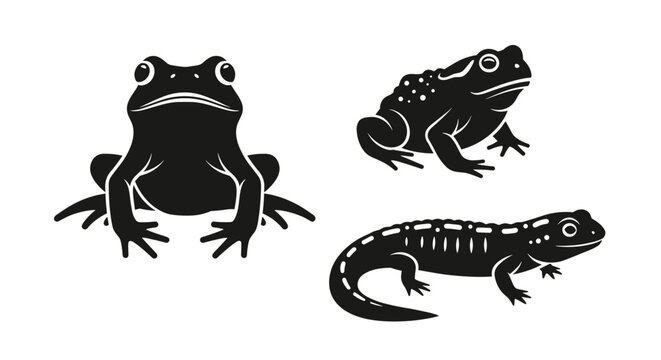 Black silhouettes of frog and lizard