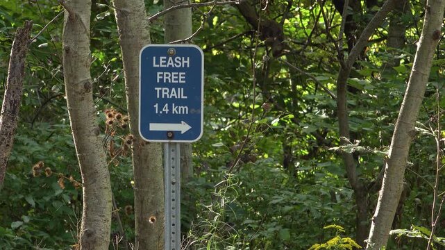 Leash free trail sign for 1.4 km with an arrow pointing right in a sunny forest park.