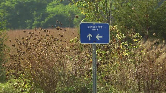 Leash Free Trail sign with arrows in a sunny meadow and forest during the summer.
